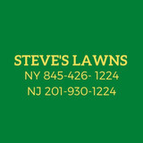 steveslawns