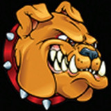 digitalguarddawg