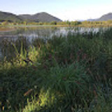 hongkichoi