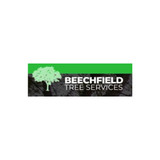 beechfieldtree
