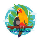 mosbirds