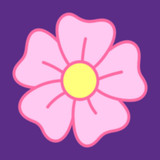 kim_1205