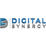 digitalsynergyai