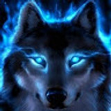 wolf222