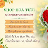 shophoatuoiquan1