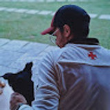 luizmachado