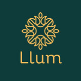 llumdiffusers