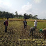 bppkuwarasan