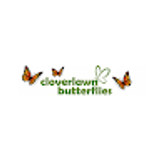 cloverlawnbutter