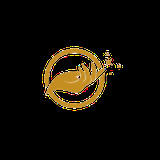 hashamjewellery