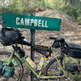 shaunecampbell