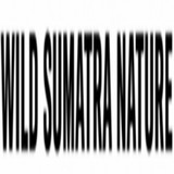 wildsum