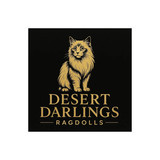 desertdarlings