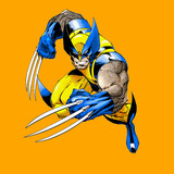 logansfury