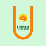 shreejipestnow