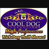 cooldogprod