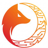 aiinfoxpvtltd