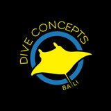 diveconcepts
