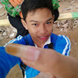 daniarianto