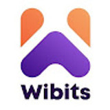 wibitswebsolutio