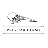 preytaxidermy