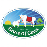 graceofcows
