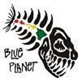 blueplanetsurf