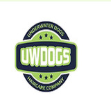uwdogs