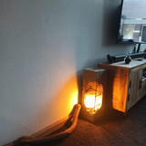 lichtmaatje