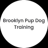 brooklynpup