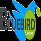 bluebirdlimos
